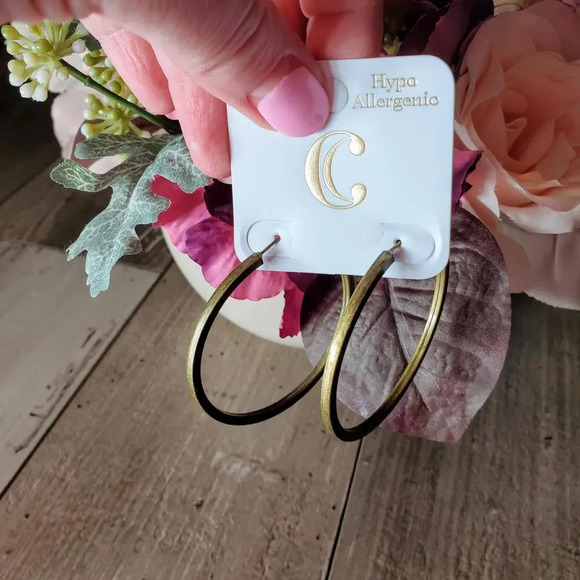 NWT Hypo Allergenic Gold Tone Fashion Hoop Earrings - Picture 1 of 16